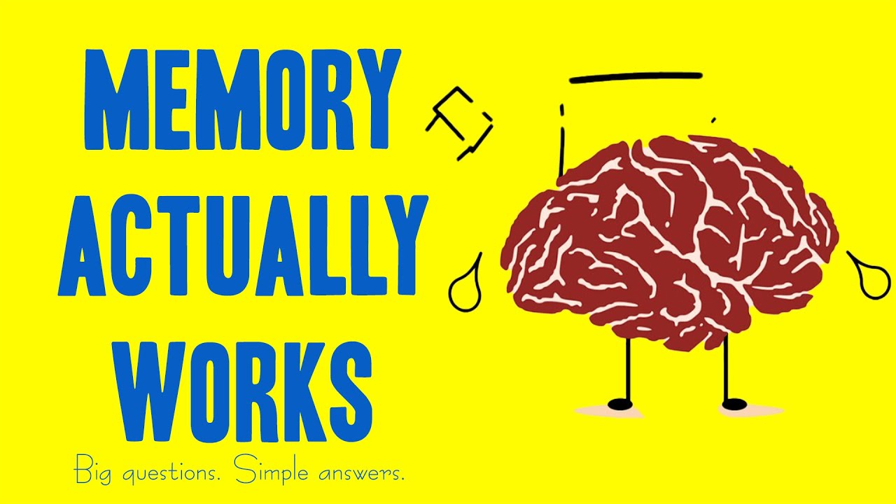 How Does Memory Work? (Explained)