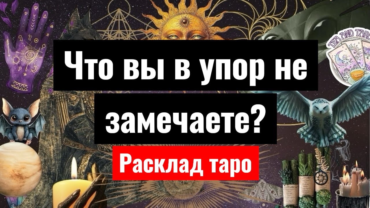 Чего вы в упор не замечаете❓