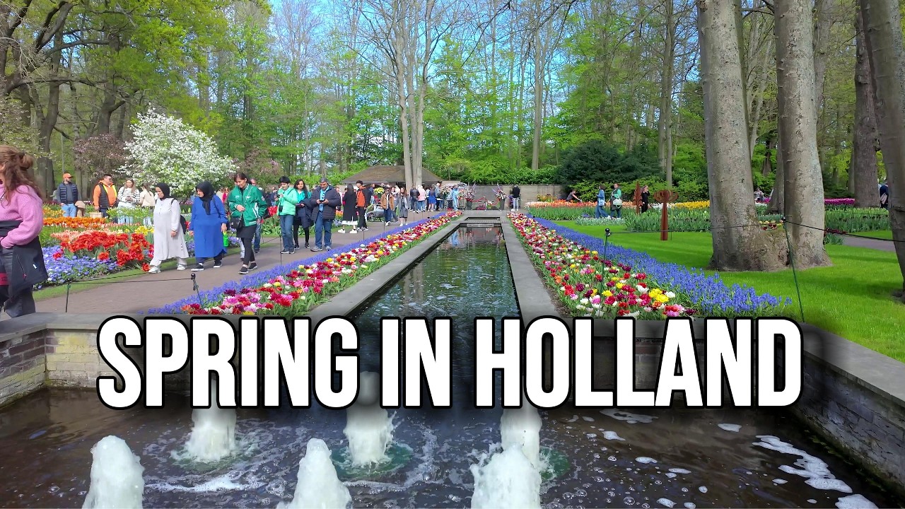 Keukenhof Lisse 4K 🌷 Stunning Tulip Garden Walk | Netherlands Spring