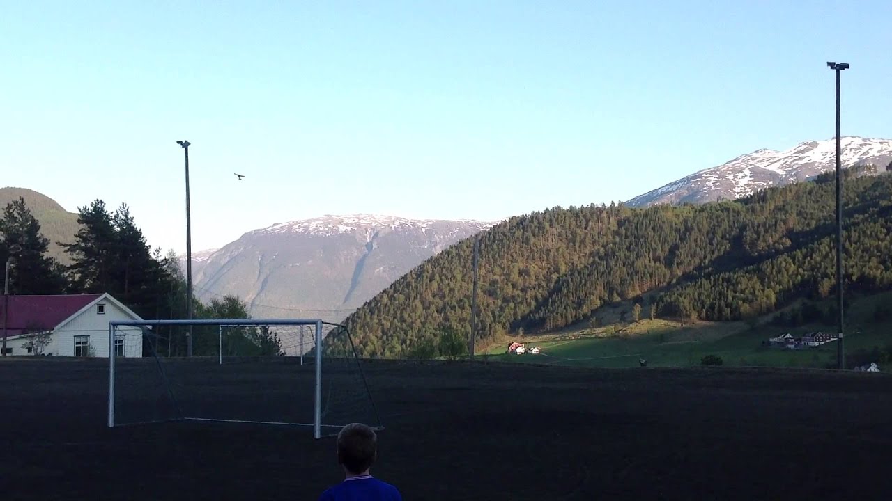 Fjernstyrt Fly