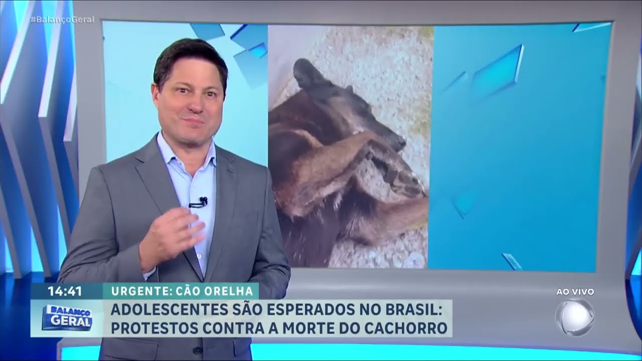Caso Orelha: Justiça manda retirar fotos de adolescentes suspeitos das redes sociais
