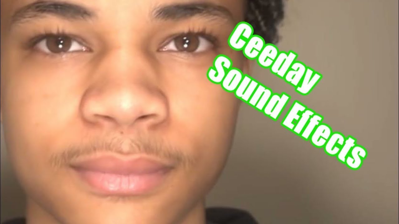 Ceeday Sound Effects #1