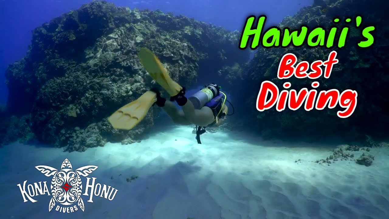 Best Scuba Diving in Hawaii with Kona Honu Divers