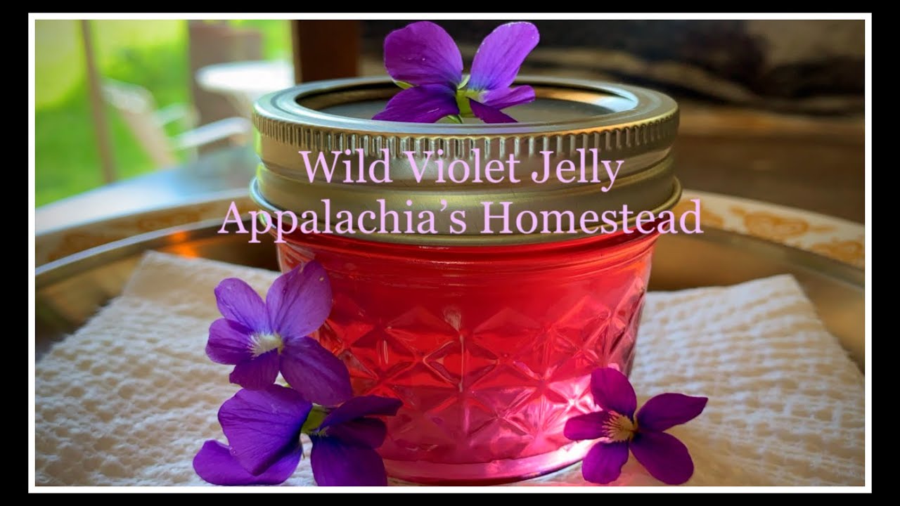 💞 Appalachia's WILD Violet Jelly! Teaching My Sons #6
