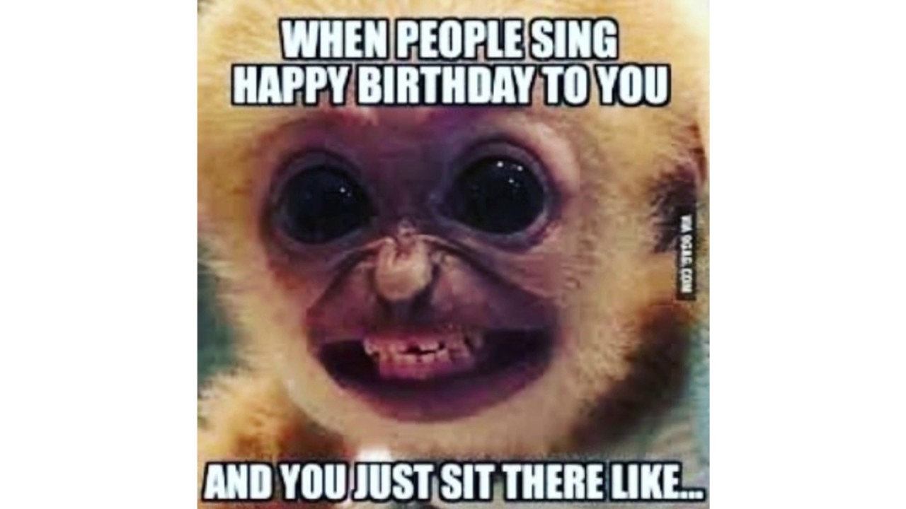 Random and Relatable Memes