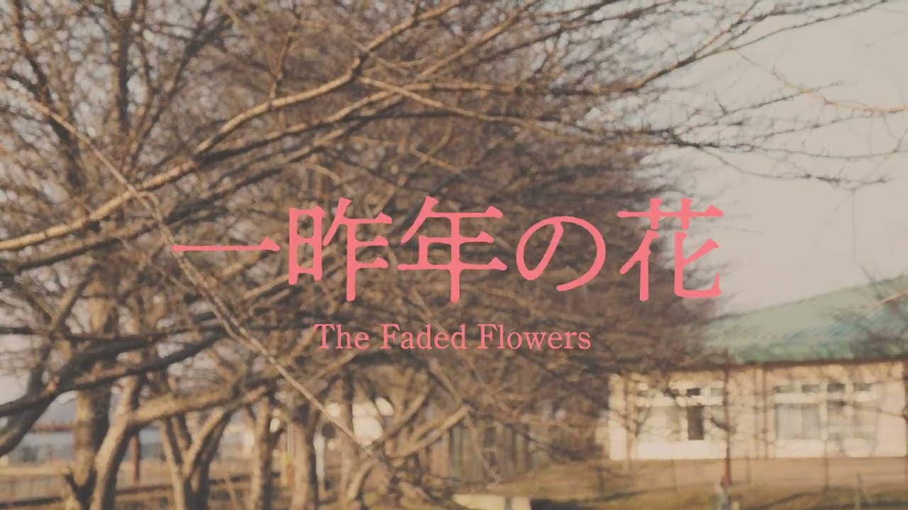 一昨年の花 / ナースロボ＿タイプＴ
