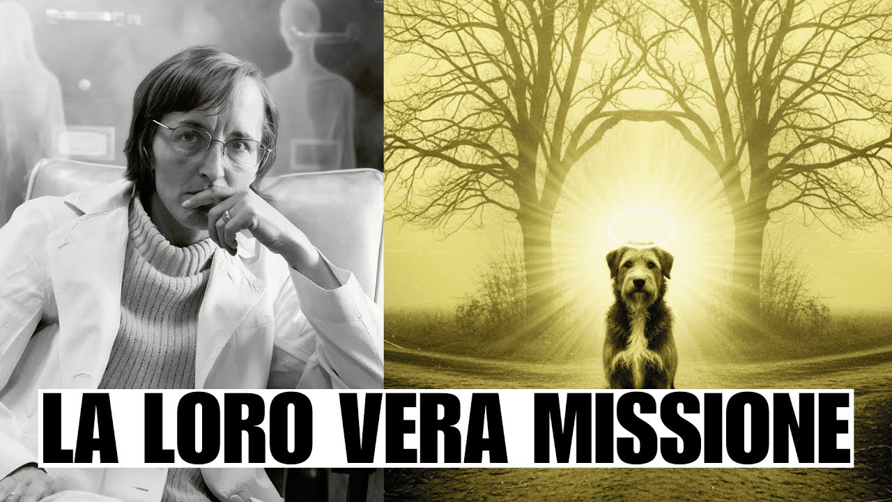 I cani non sono animali domestici – Sono messaggeri | La verità spirituale secondo Kübler-Ross