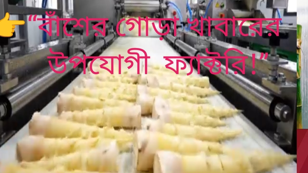 China Bamboo Shoot Factory 😲 | বাঁশের কুঁড়ি Processing এর আসল  @arif-z4c5t 