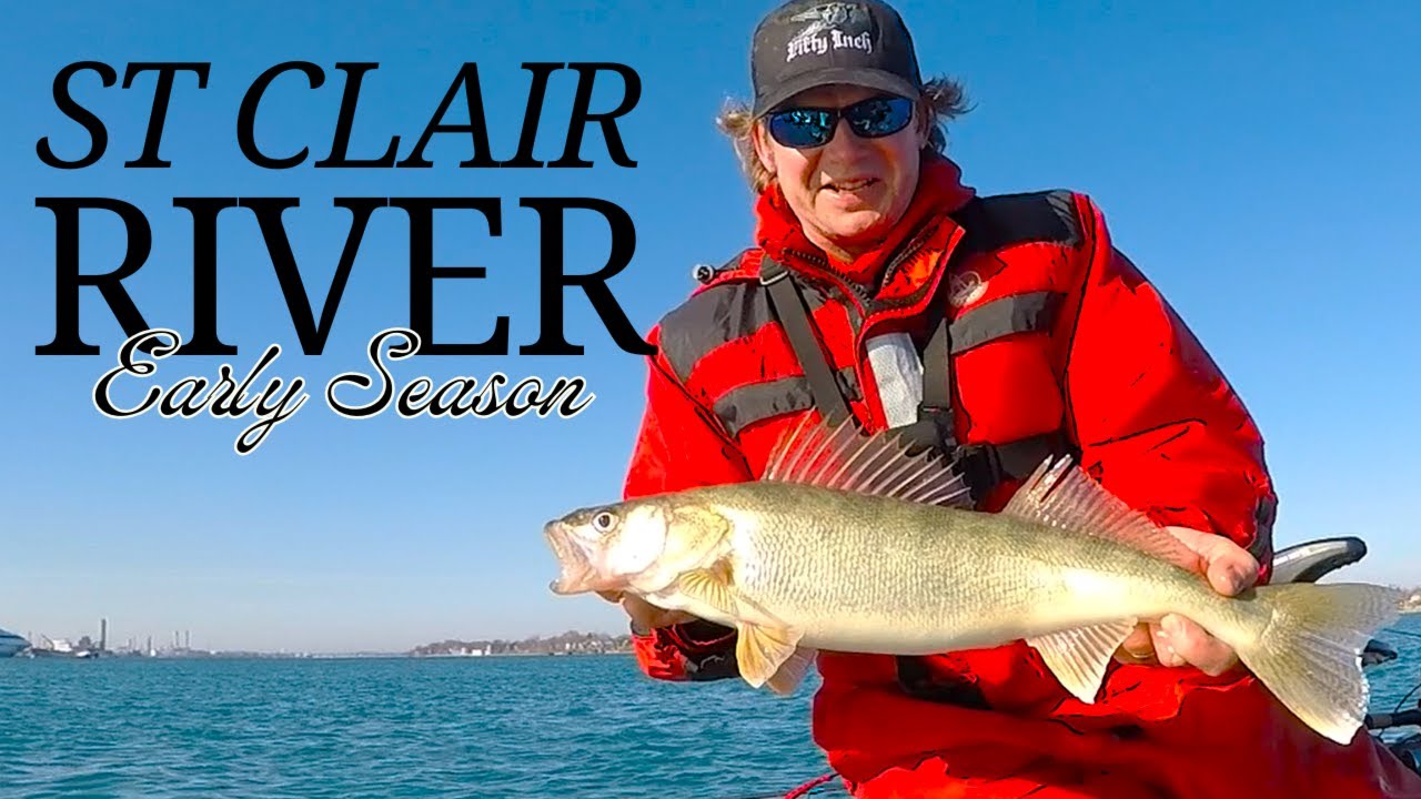 Early Season St Clair River Walleye