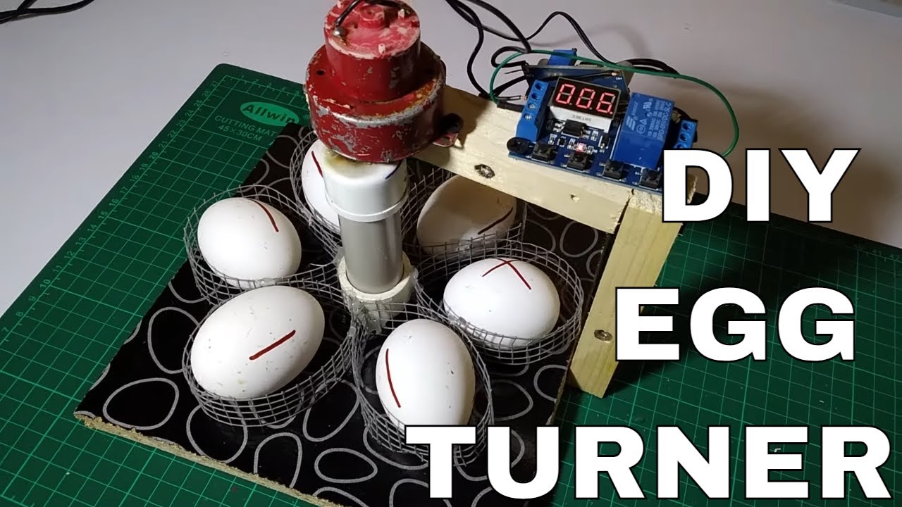how to make mini eggs turner for incubator - diy egg turner incubator