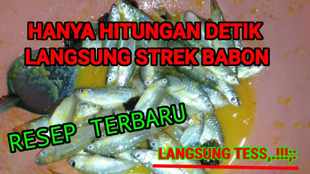 UMPAN LELE PALING JITU,,!!!:; UMPAN GALATAMA LELE ATAU UMPAN LELE TERBARU