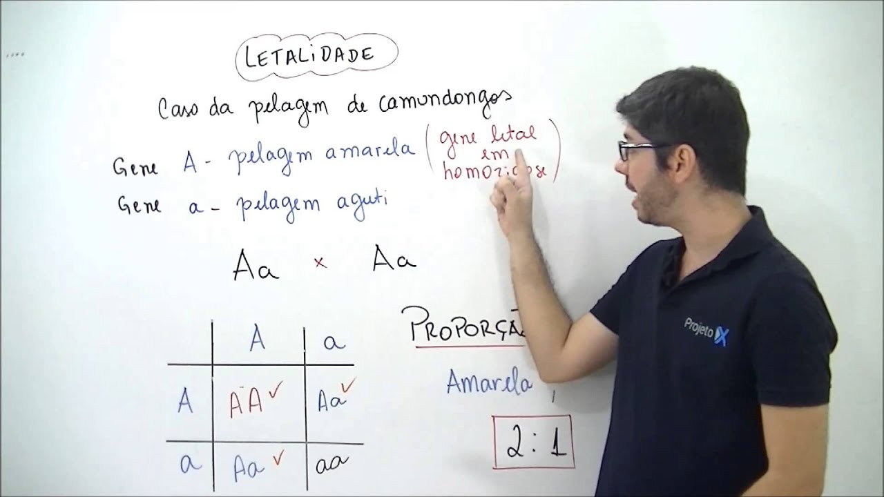 X da Questão   Biologia   Cálculo das Probabilidades   Letalidade