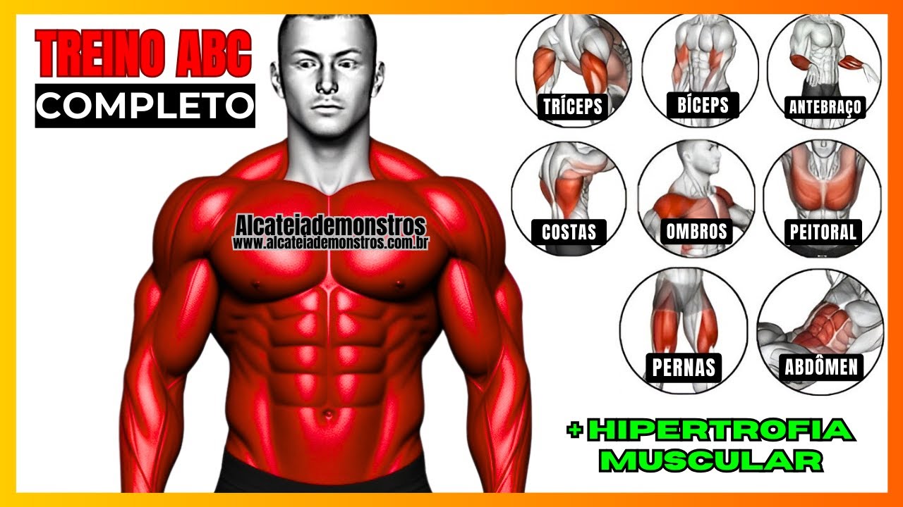 MELHOR TREINO ABC NA ACADEMIA PARA GANHO DE MASSA MUSCULAR