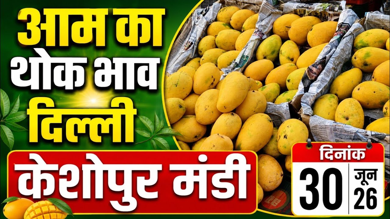 आम के थोक भाव 30 June 2026 | Mango Wholsale Market Keshopur Mandi Delhi #fruits #mango 