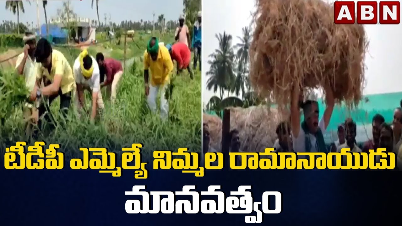 టీడీపీ ఎమ్మెల్యే నిమ్మల రామానాయుడు మానవత్వం || TDP MLA Nimmala Ramanaidu || ABN Telugu