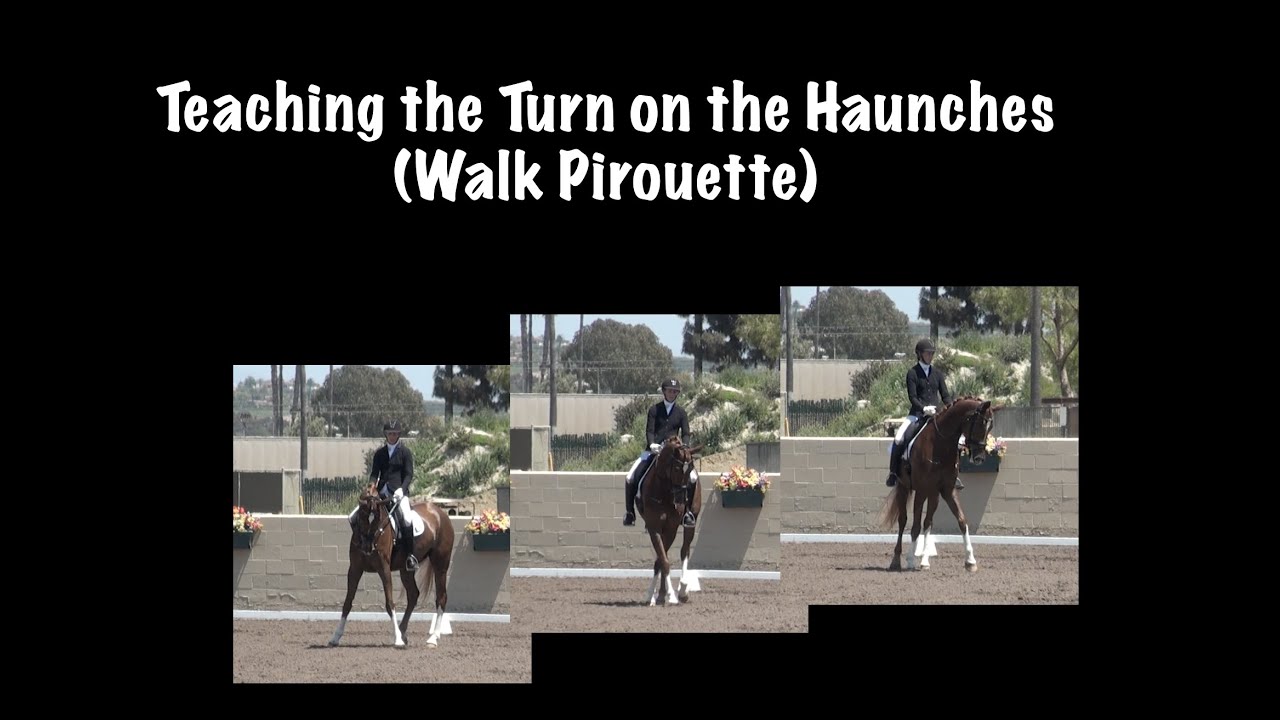 Introducing the Turn on the Haunches (aka. walk pirouette)