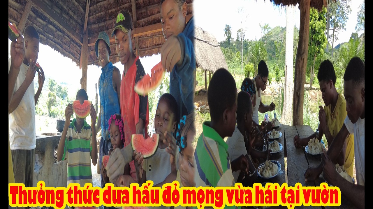 C&aacute;i kết khi để anh em Angola tự tay chuẩn bị bữa cơm trưa tại vườn || Tony Phong cuộc sống Ch&acirc;u Phi