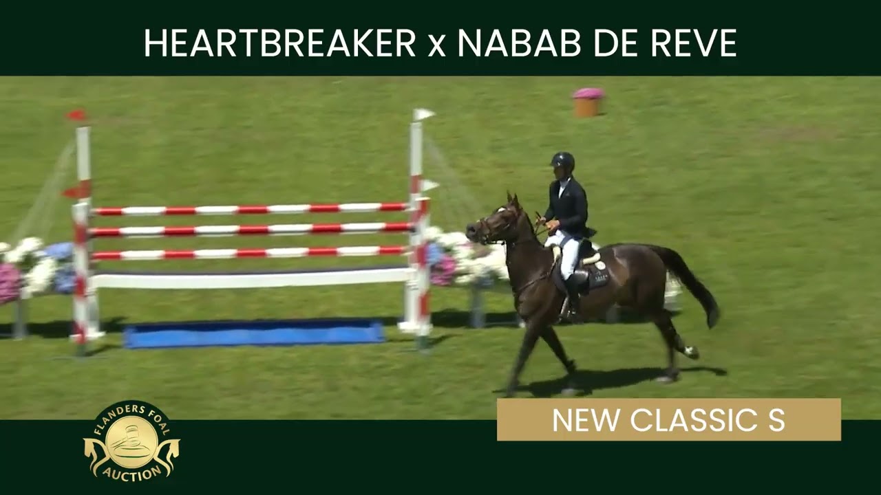 Embryo 13 Heartbreaker x New Classic S