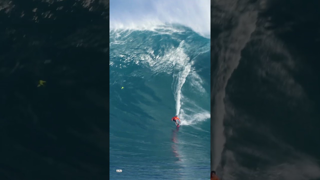 JAWS CHASED DOWN BY AN XXL MONSTER! - RAFAEL TAPIA #Shorts