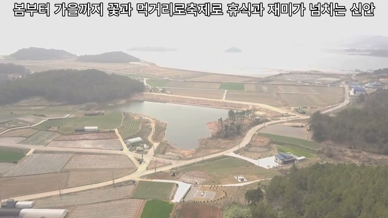 전라남도 신안군 암태면 천사대교 전원주택지 매매