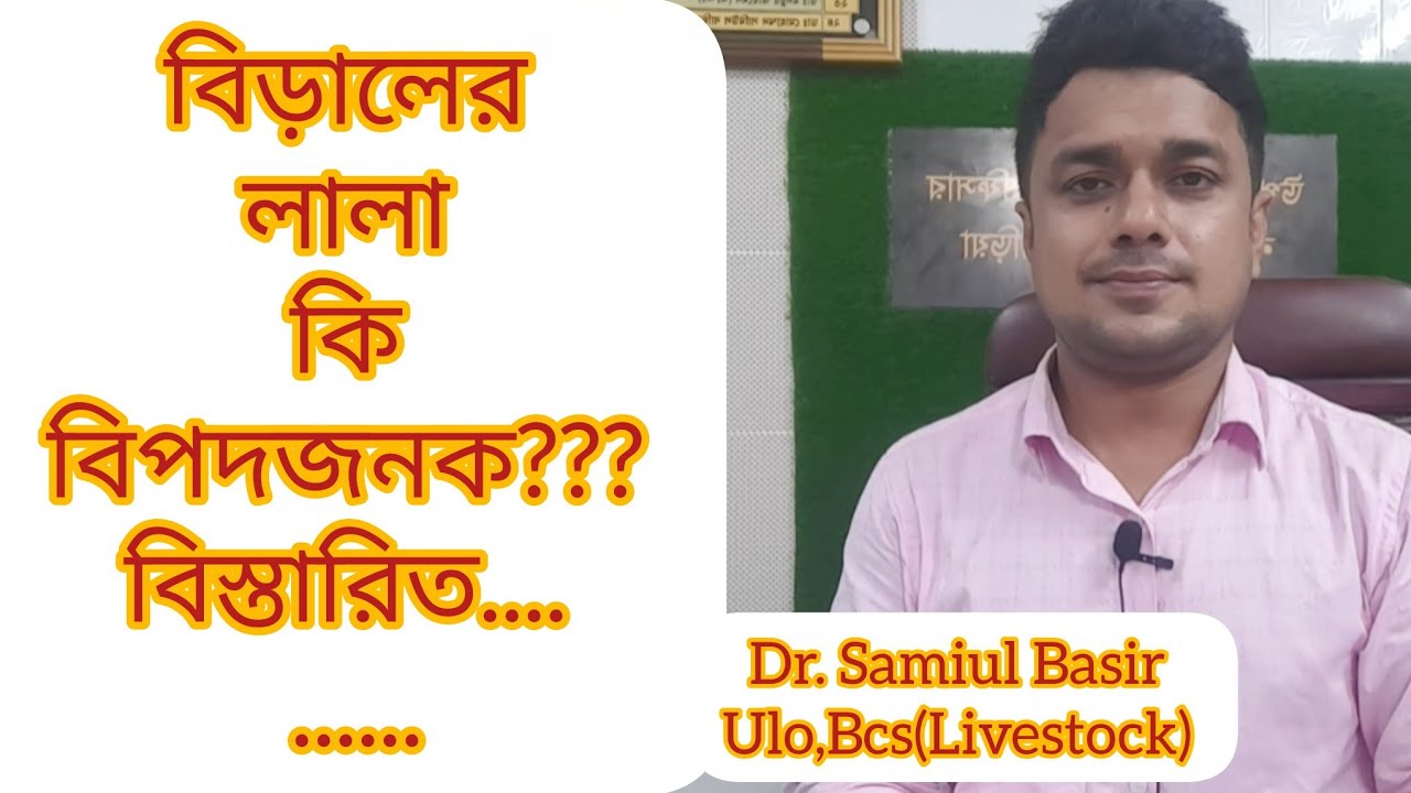 বিড়ালে লালা ঝরে কেন।।বিড়ালের লালায় কি হয়।বিড়ালের লালায় কি রোগ হয়।বিড়ালের লালা কি বিপদজনক।