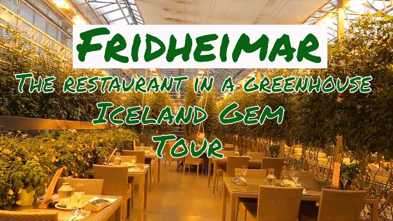 Fridheimar, The restaurant in a greenhouse | Unique dining Experience |Iceland Gem | Tour |Day 6