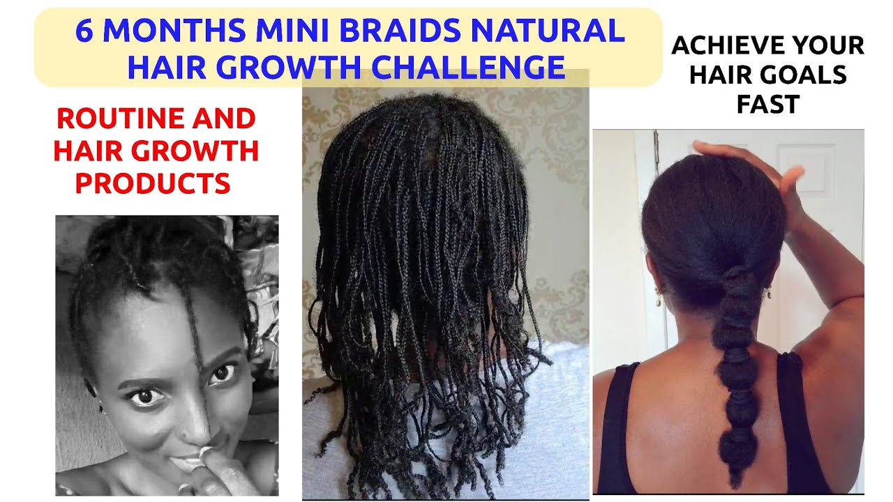 This Mini Braids Routine Will Grow Your Hair Long & Thick | 6 Months Mini braids challenge #braids