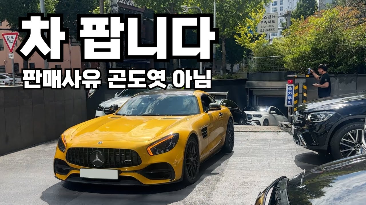 죽도 차 팝니다. 저는 아무말도 안했어요