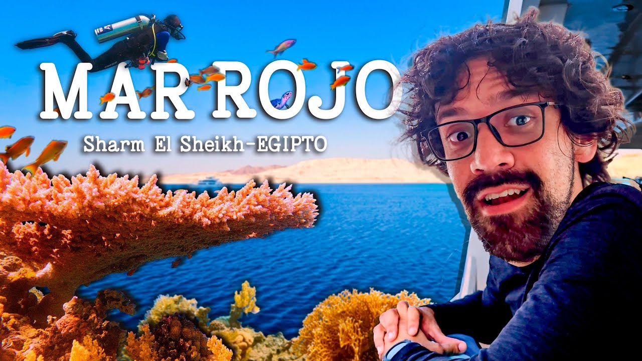 El MAR ROJO  ¿es ROJO? | Explorando aguas EGIPCIAS | CAMILOPVIAJES