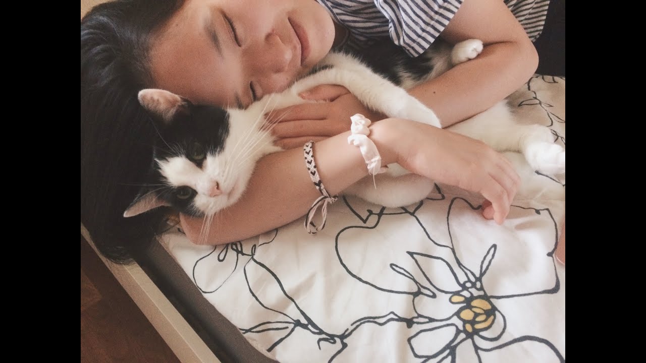 I wrote a song for my cat