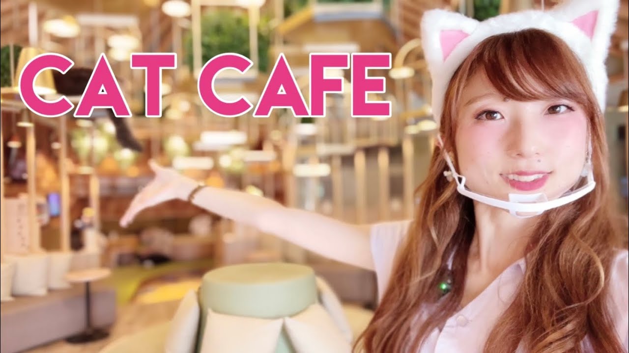 Самое УДИВИТЕЛЬНОЕ кошачье кафе Японии | MOCHA Akihabara