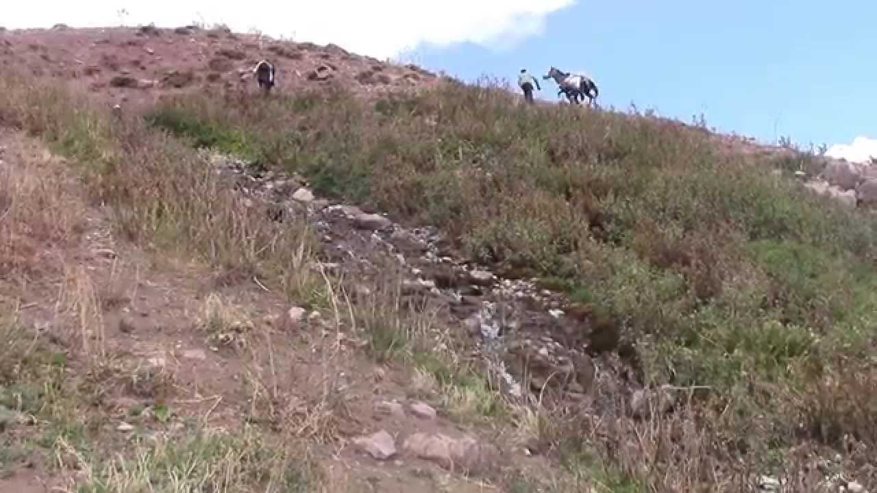 ANĞEĞ GANİYESİPİ