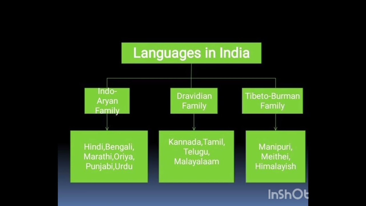 Linguistic diversity of languages in India.