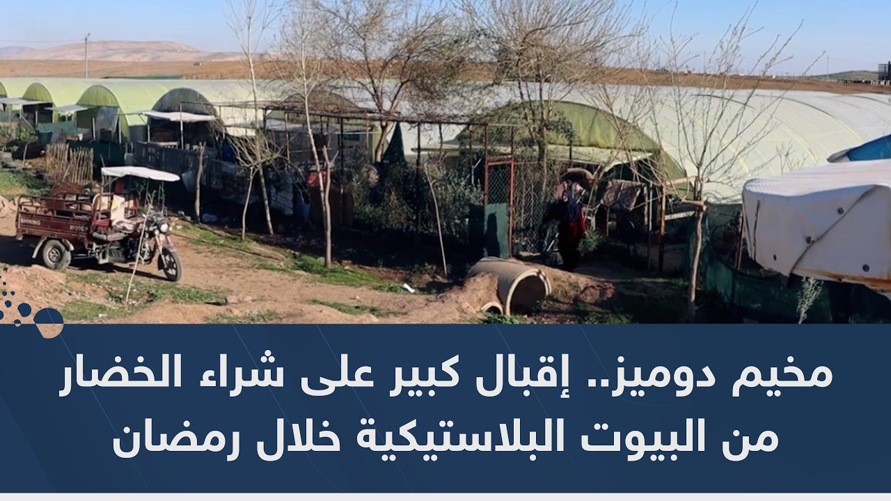 مخيم دوميز.. إقبال كبير على شراء الخضار من البيوت البلاستيكية خلال رمضان