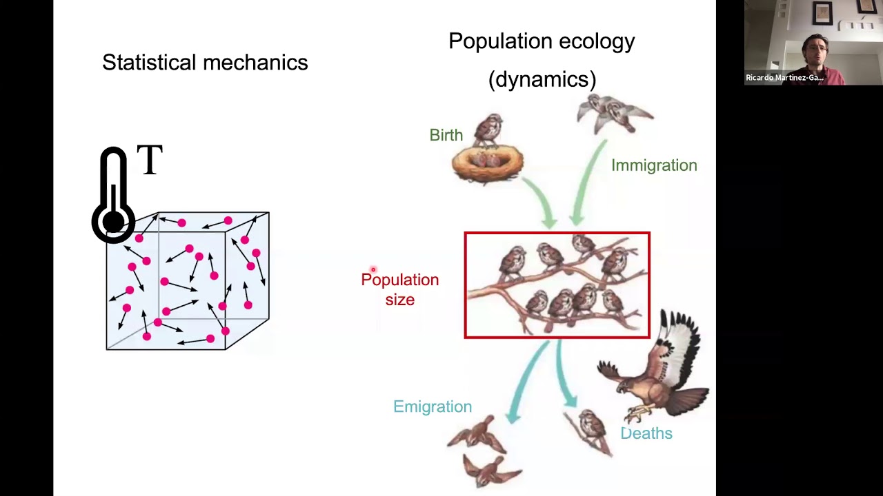 How can statistical mechanics help population ecology?