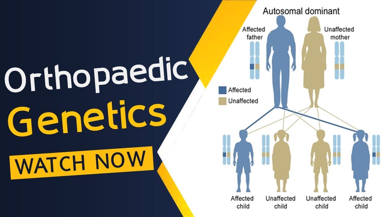 Orthopaedic Genetics | Chromosomes | DNA Replication | Genetic Counseling | Congenital Malformation