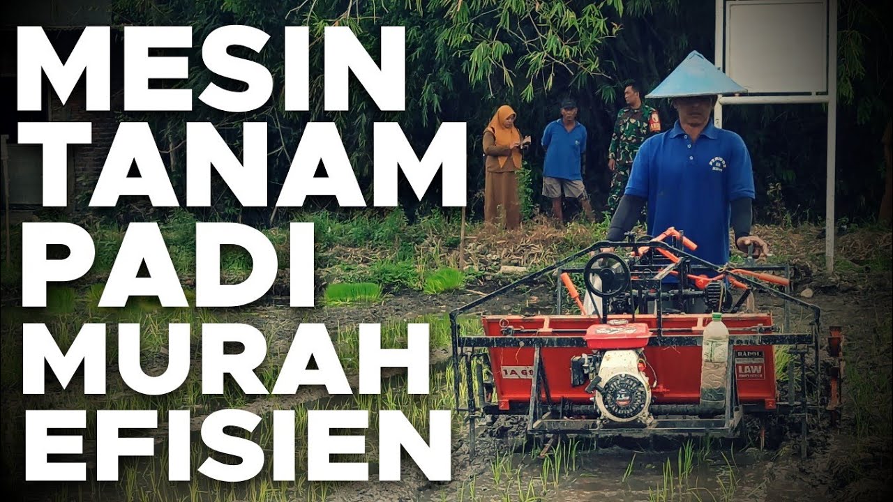 Mesin Tanam Padi Murah | Alat Tanam Padi Ponorogo | Uji Coba di Pademonegoro Sukodono Sidoarjo