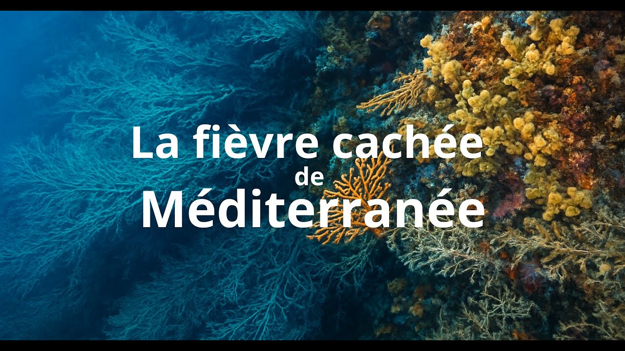 La fièvre cachée de la Méditerranée