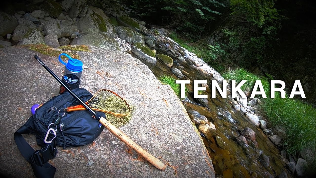 テンカラを近所で 2019 Tenkara neighborhood