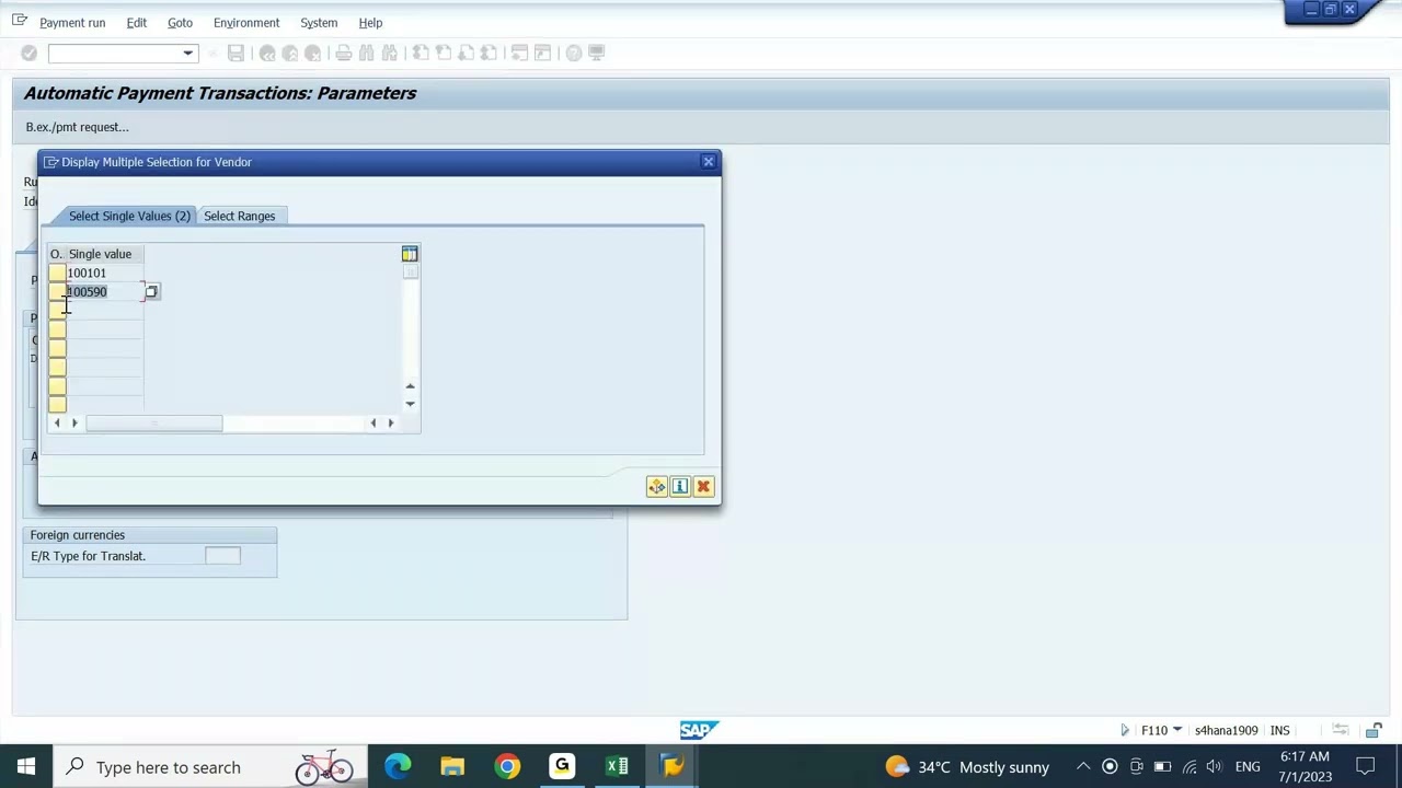 SAP FICO ENGLISH S4HANA: AUTOMATIC PAYMENT PROGRAM (APP) - 03