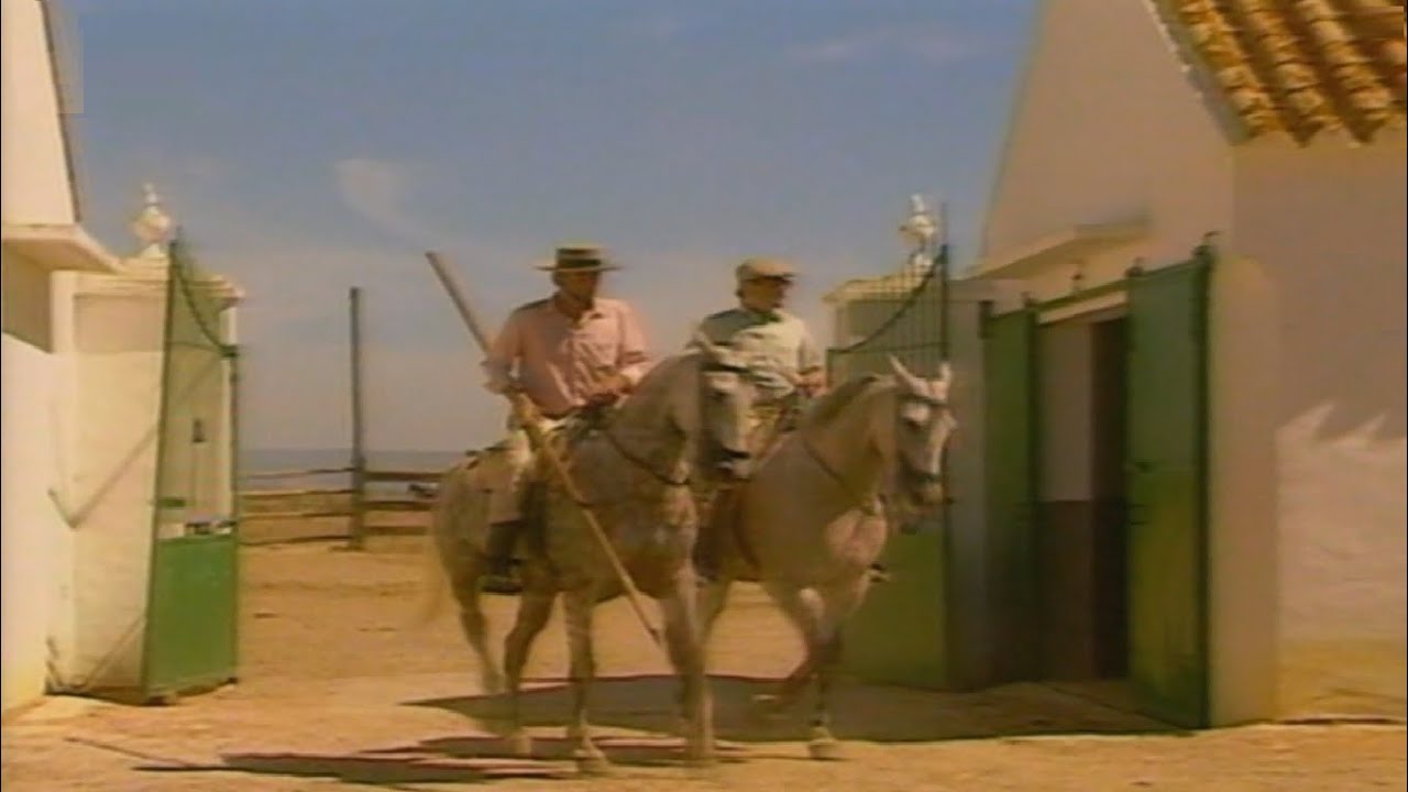 Destete En Miura, Faenas De Campo