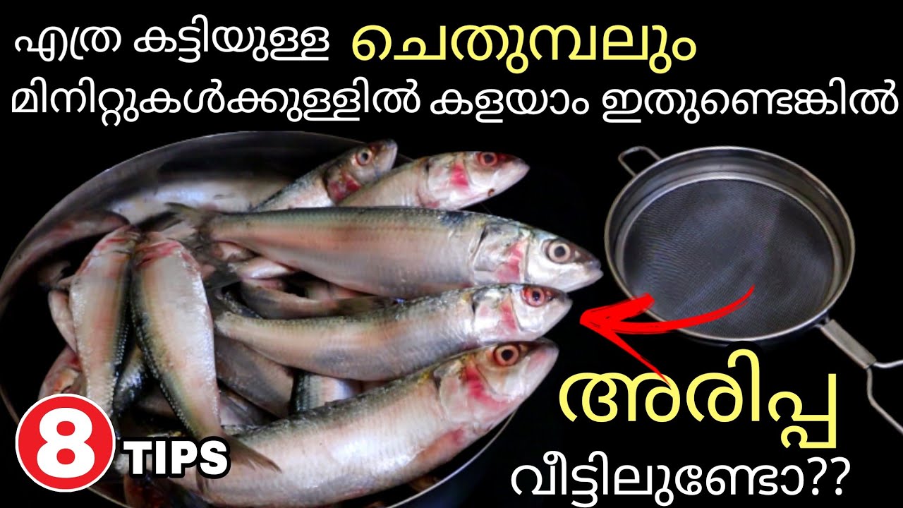 പഴയ അരിപ്പ ഉണ്ടെങ്കിൽ എത്രകിലോ മീനും മിനിട്ടുകൾ കൊണ്ട് ചെതുമ്പൽകളഞ്ഞു വൃത്തിയാക്കാം|8 KitchenTips