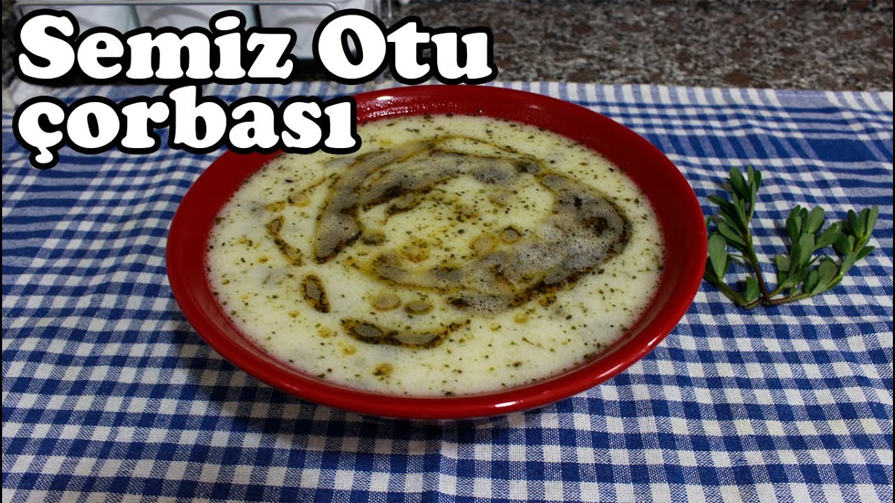 YOĞURTLU SEMİZ OTU ÇORBASI
