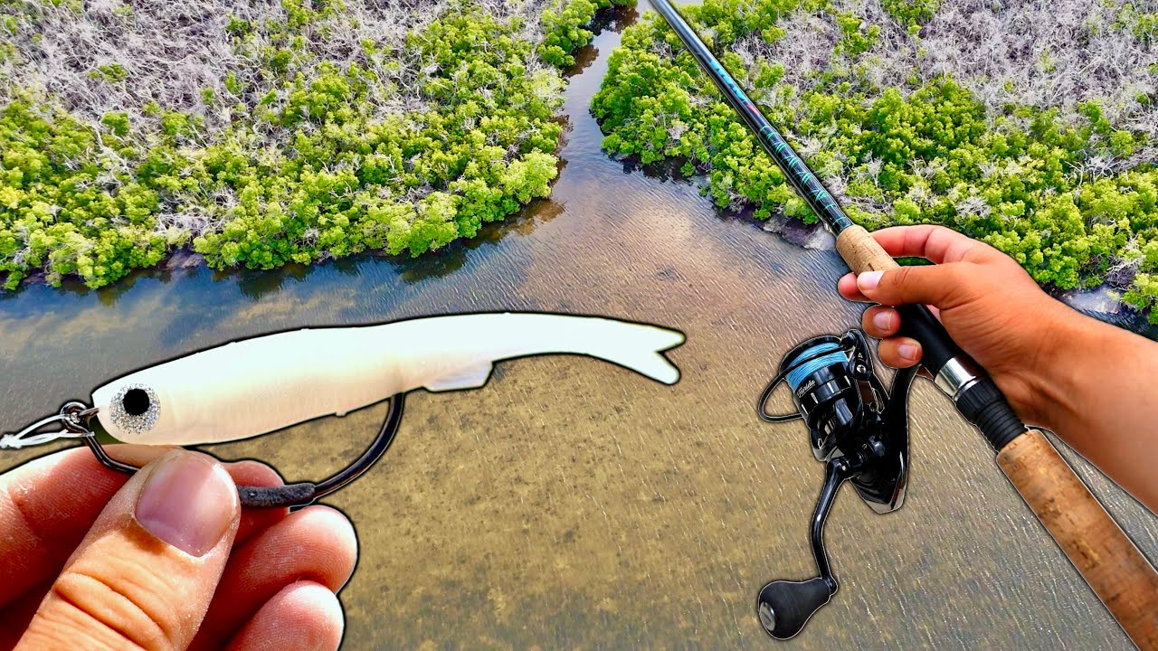 SNOOK BLITZ IN THE MANGROVES!! (SWFL Fishing)