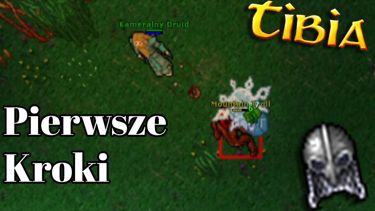 Tibia Druid #1, Co tym razem, Wprowadzenie do mini serii