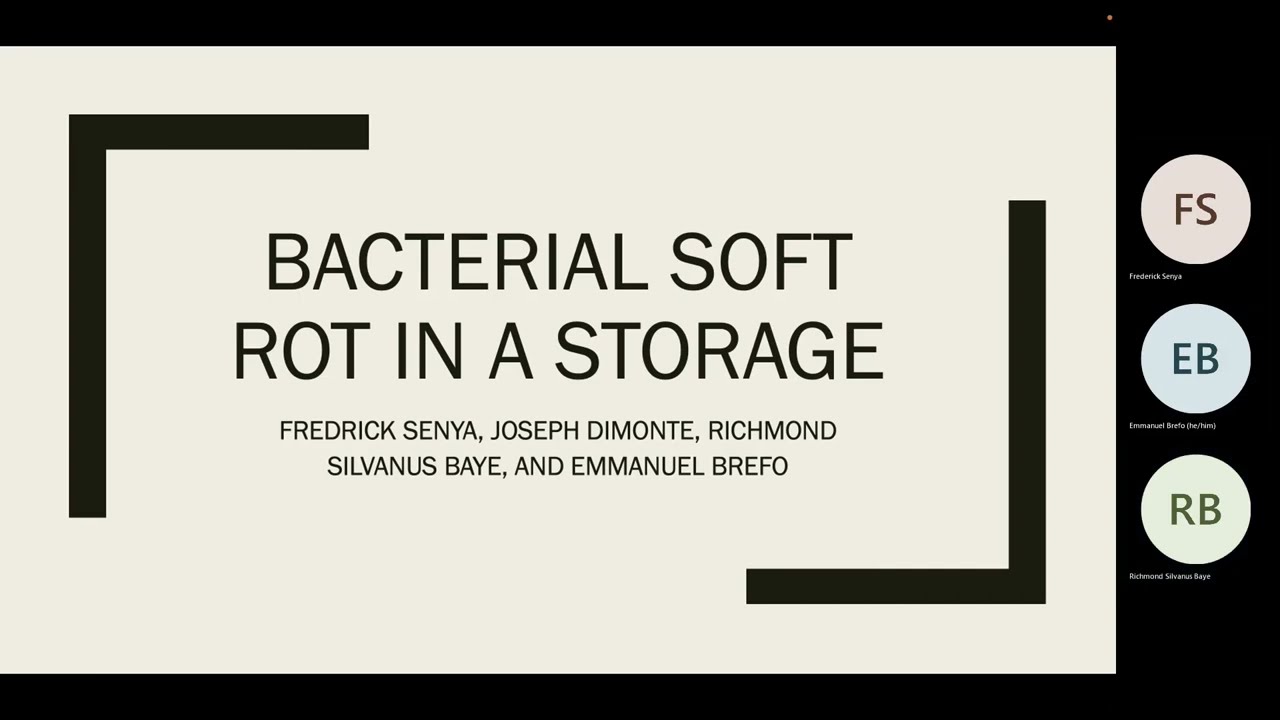 Bacteria Soft Rot in a Storage using Cellular Automata