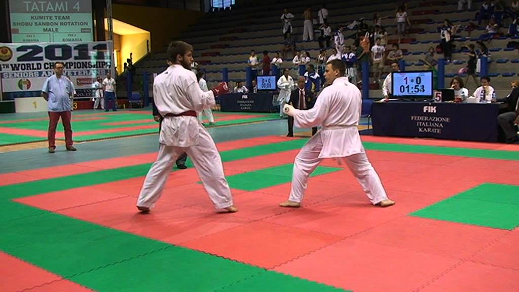 WUKF World Karate Championships Senior 2011 - Shobu Ippon Male +70 kg Final