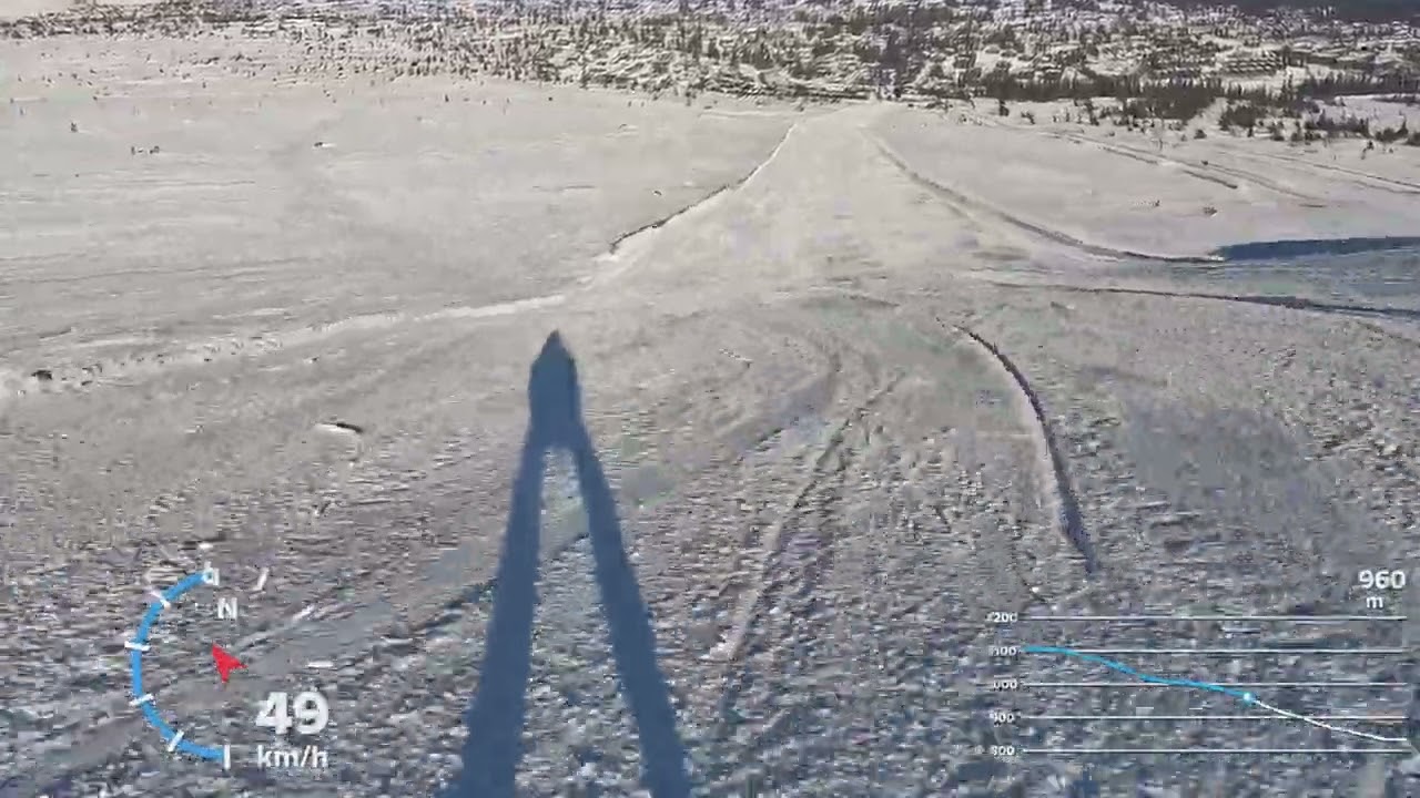 Trysil Ski - red 44   Green 44
