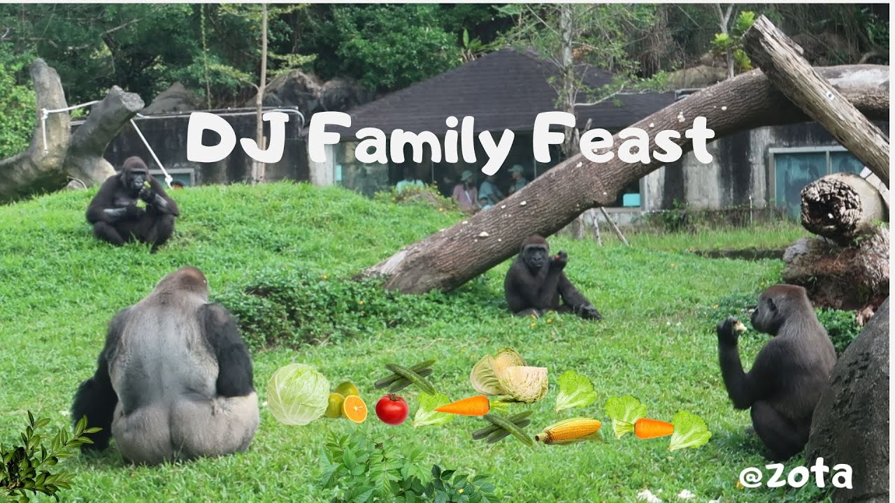 DJ Family Feast: Veggies, Fruits, Roots, and Branches  大猩猩家餐餐不只五蔬果~