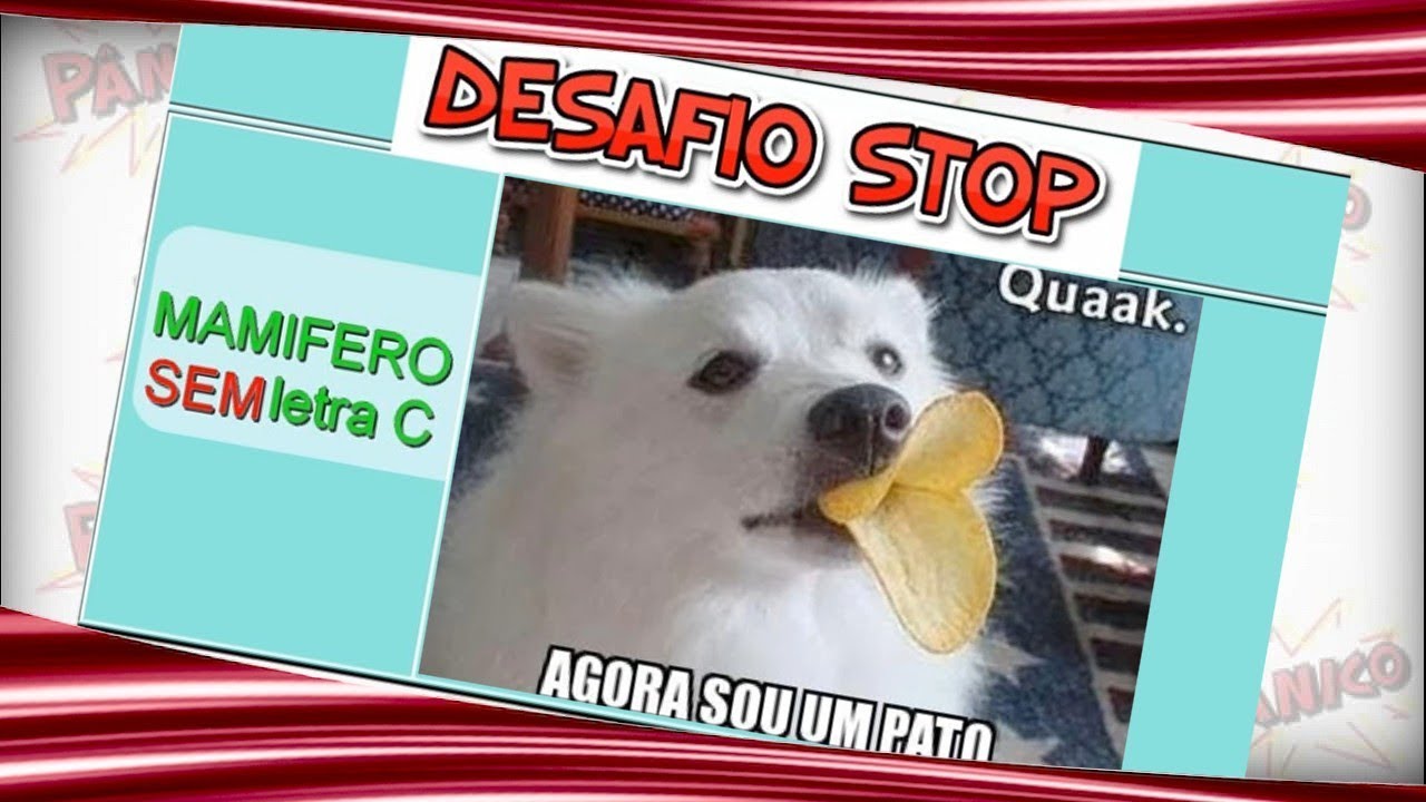 Desafio Stop Djalma Jorge Show